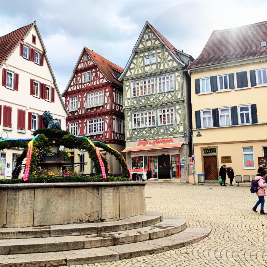 Im Herzen Der Altstadt Vaihingen an der Enz Exterior photo